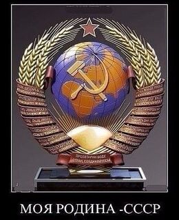 Алекс